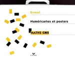 Maths CM2