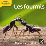 Les fourmis